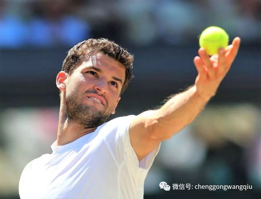 公平公正 公平公正